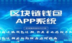 每當提起小狐錢包過期，