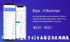   Puls數(shù)字錢包是什么？全