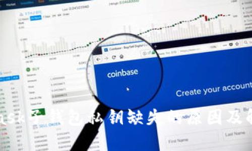 MetaMask子錢包私鑰缺失的原因及解決方案