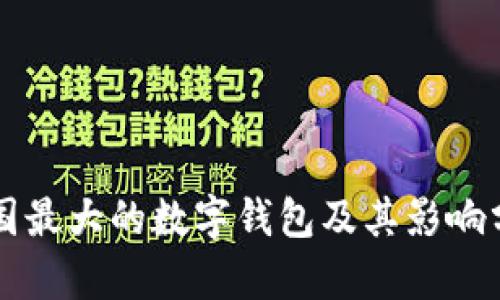 美國(guó)最大的數(shù)字錢(qián)包及其影響分析