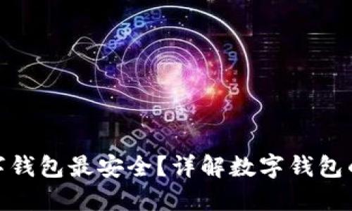 哪種數(shù)字錢包最安全？詳解數(shù)字錢包的安全性