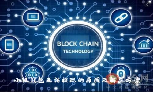 小狐錢(qián)包無(wú)法提現(xiàn)的原因及解決方案