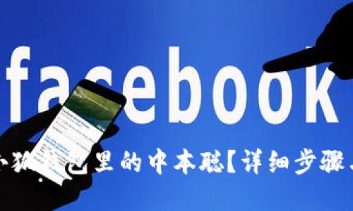 如何找回小狐錢包里的中本聰？詳細(xì)步驟與解決方案