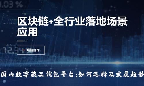國內(nèi)數(shù)字藏品錢包平臺：如何選擇及發(fā)展趨勢