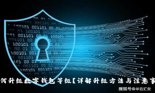 如何升級數(shù)字錢包等級？詳解升級方法與注意事項