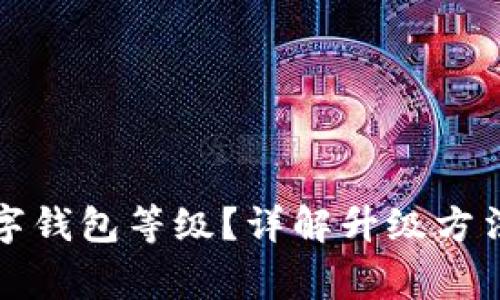 如何升級數(shù)字錢包等級？詳解升級方法與注意事項