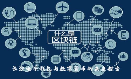 長(zhǎng)沙電子錢(qián)包與數(shù)字貨幣的未來(lái)探索