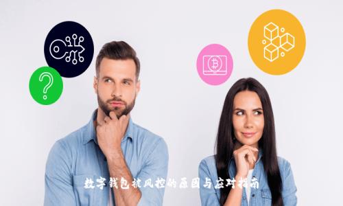 數字錢包被風控的原因與應對指南