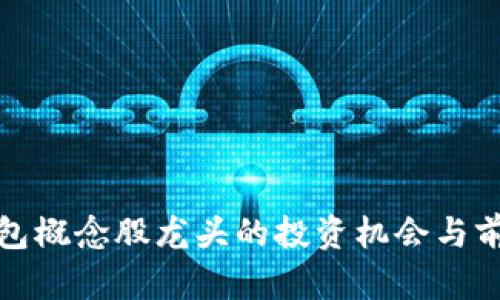 數字錢包概念股龍頭的投資機會與前景分析