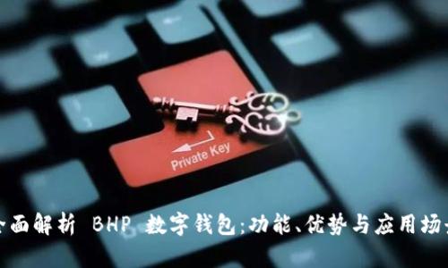 全面解析 BHP 數(shù)字錢包：功能、優(yōu)勢(shì)與應(yīng)用場(chǎng)景