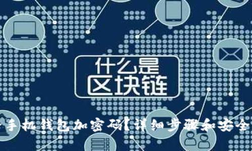 如何給手機錢包加密碼？詳細步驟和安全性分析