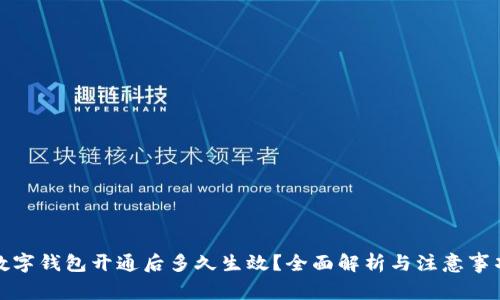 數(shù)字錢包開通后多久生效？全面解析與注意事項(xiàng)
