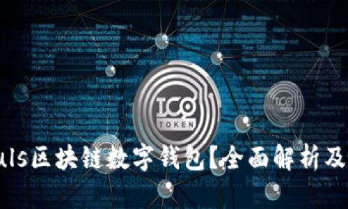 什么是Puls區(qū)塊鏈數(shù)字錢包？全面解析及應用前景