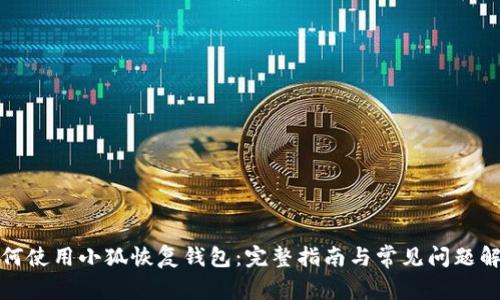 如何使用小狐恢復(fù)錢(qián)包：完整指南與常見(jiàn)問(wèn)題解答
