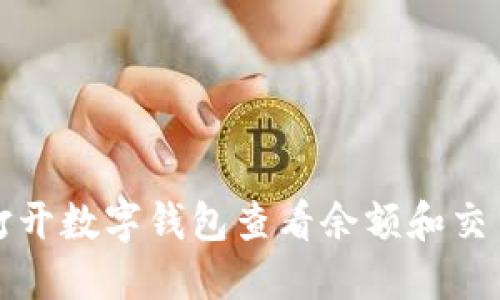 如何打開(kāi)數(shù)字錢(qián)包查看余額和交易記錄