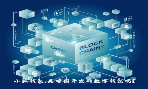 小狐錢包：是中國(guó)開發(fā)的數(shù)字錢包嗎？
