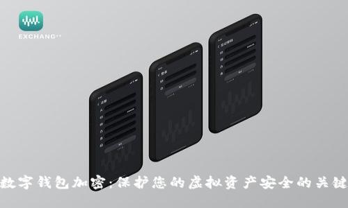 數(shù)字錢包加密：保護您的虛擬資產(chǎn)安全的關(guān)鍵