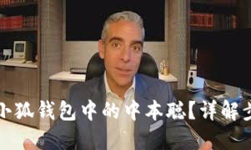 如何找回小狐錢包中的中本聰？詳解步驟與技巧