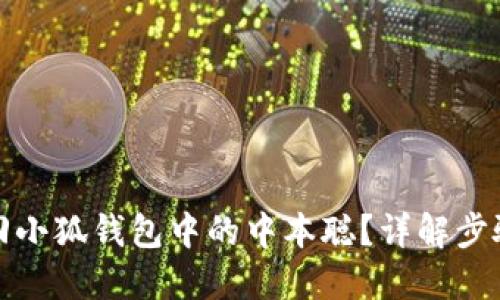 如何找回小狐錢包中的中本聰？詳解步驟與技巧