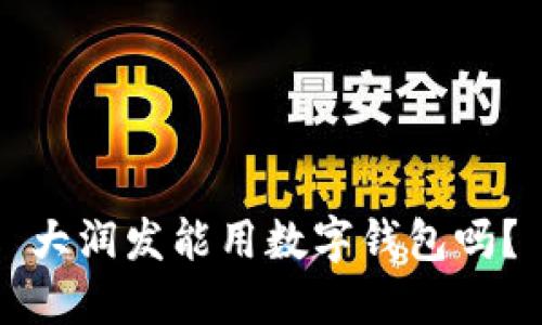 大潤發(fā)能用數(shù)字錢包嗎？