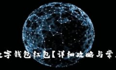 如何申請(qǐng)數(shù)字錢包紅包？詳細(xì)攻略與常見(jiàn)問(wèn)題解
