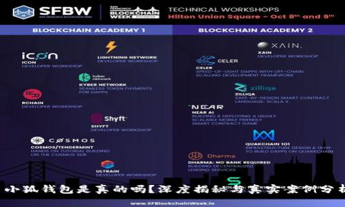  小狐錢包是真的嗎？深度揭秘與真實(shí)案例分析