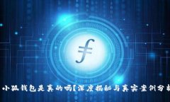  小狐錢包是真的嗎？深度