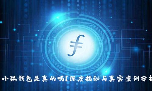  小狐錢包是真的嗎？深度揭秘與真實(shí)案例分析