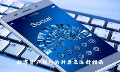 數(shù)字資產(chǎn)錢(qián)包的種類(lèi)及選