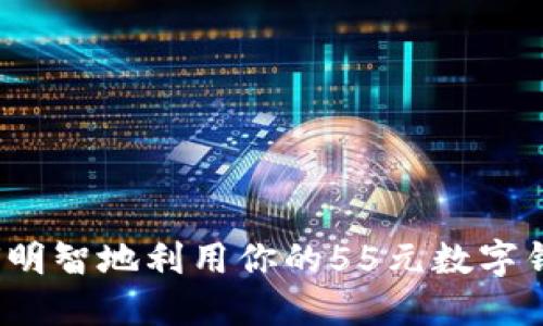 如何明智地利用你的55元數(shù)字錢包？