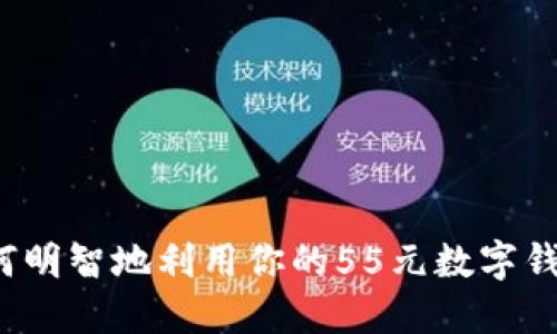 如何明智地利用你的55元數(shù)字錢包？