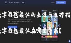數(shù)字錢包載體的來源與選擇指南數(shù)字錢包載體在