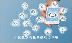 開發(fā)數(shù)字錢包的挑戰(zhàn)與機(jī)遇