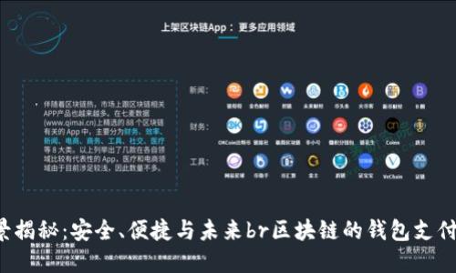 區(qū)塊鏈錢包支付的全景揭秘：安全、便捷與未來br區(qū)塊鏈的錢包支付：安全與便捷的未來br