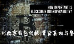 福州數(shù)字錢包被抓：背后真相與警示