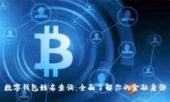 數(shù)字錢包姓名查詢：全面