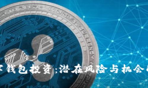 數(shù)字錢包投資：潛在風(fēng)險(xiǎn)與機(jī)會(huì)解析