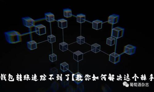 數(shù)字錢包轉(zhuǎn)賬追蹤不到了？教你如何解決這個棘手問題