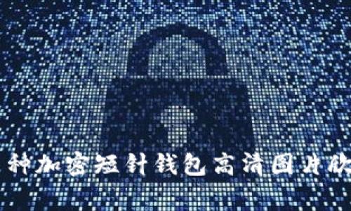 多種加密短針錢包高清圖片欣賞