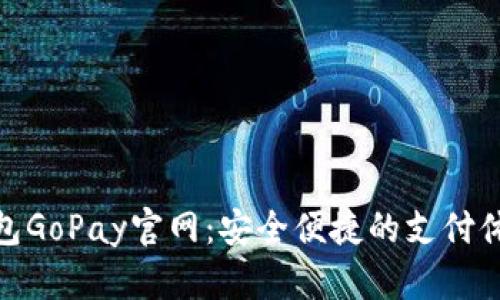數(shù)字錢包GoPay官網(wǎng)：安全便捷的支付體驗(yàn)之旅