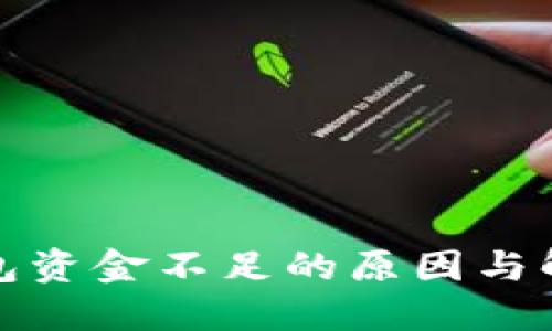 數(shù)字錢包資金不足的原因與解決方案