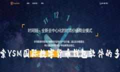 : 深入探索YSM國(guó)際數(shù)字貨幣