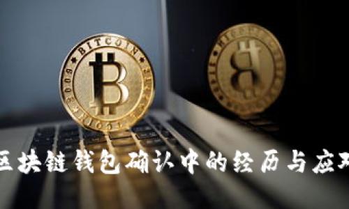 轉(zhuǎn)賬區(qū)塊鏈錢(qián)包確認(rèn)中的經(jīng)歷與應(yīng)對(duì)策略