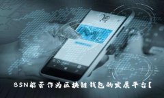 BSN能否作為區(qū)塊鏈錢包的