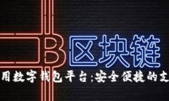 國內(nèi)常用數(shù)字錢包平臺(tái)：安全便捷的支付選擇