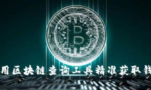 如何使用區(qū)塊鏈查詢工具精準獲取錢包信息