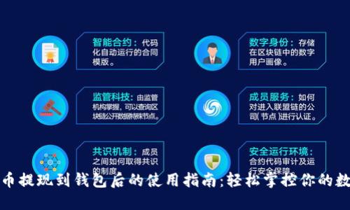 加密貨幣提現(xiàn)到錢(qián)包后的使用指南：輕松掌控你的數(shù)字資產(chǎn)