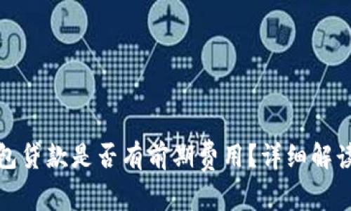 數(shù)字錢包貸款是否有前期費(fèi)用？詳細(xì)解讀與分析
