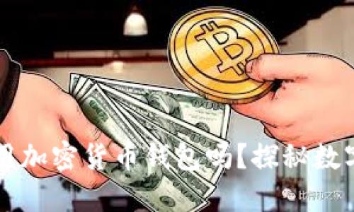 國內(nèi)可以使用加密貨幣錢包嗎？探秘數(shù)字資產(chǎn)的未來