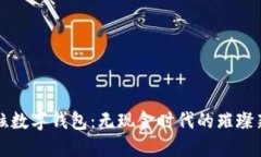 最炫數(shù)字錢(qián)包：無(wú)現(xiàn)金時(shí)